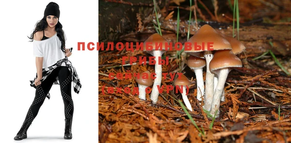синтетический гашиш Аркадак