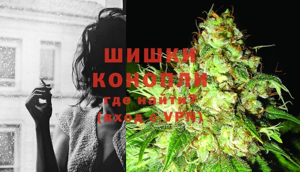 ГАЛЛЮЦИНОГЕННЫЕ ГРИБЫ Арсеньев